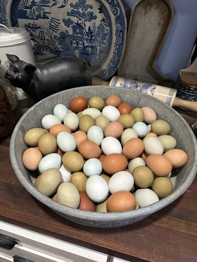 Lange Girl Farms Eggs