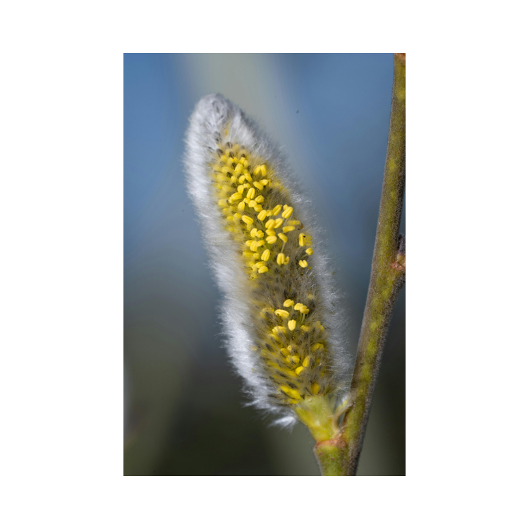 Copy of Copy of Untitled Design 2