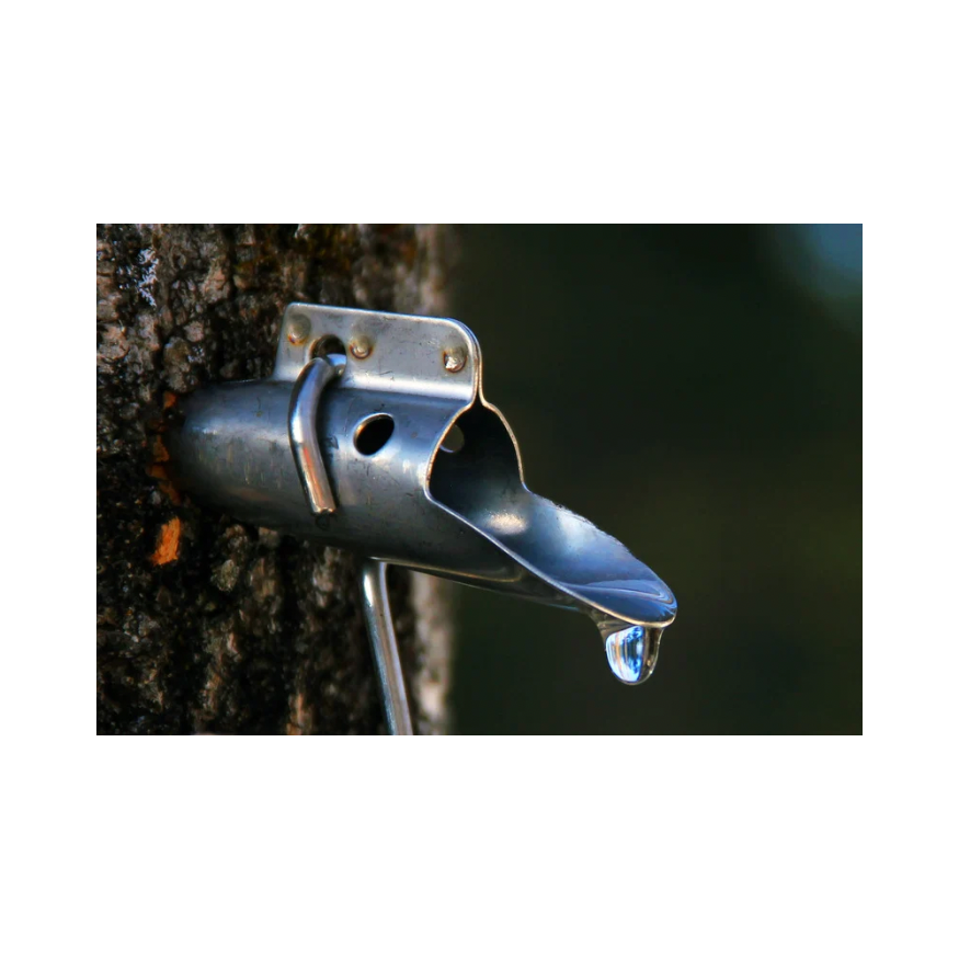 Copy of Untitled Design 100