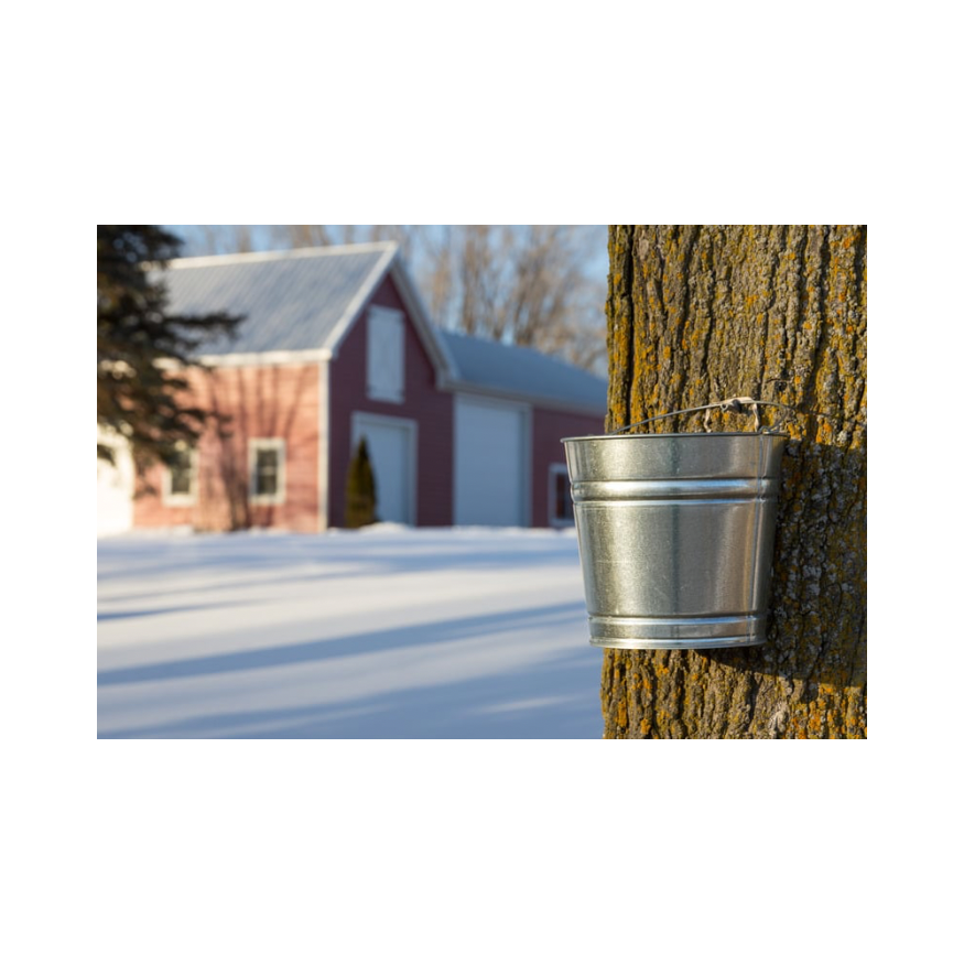 Copy of Untitled Design 101