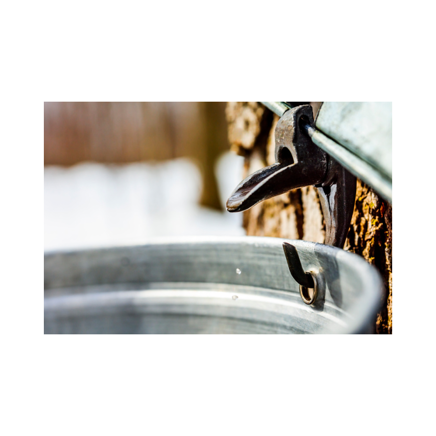 Copy of Untitled Design 103