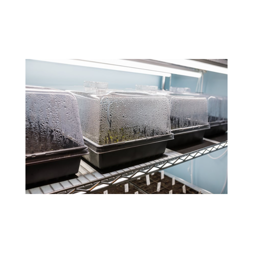 Copy of Untitled Design 28