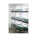 Copy of Untitled Design 29