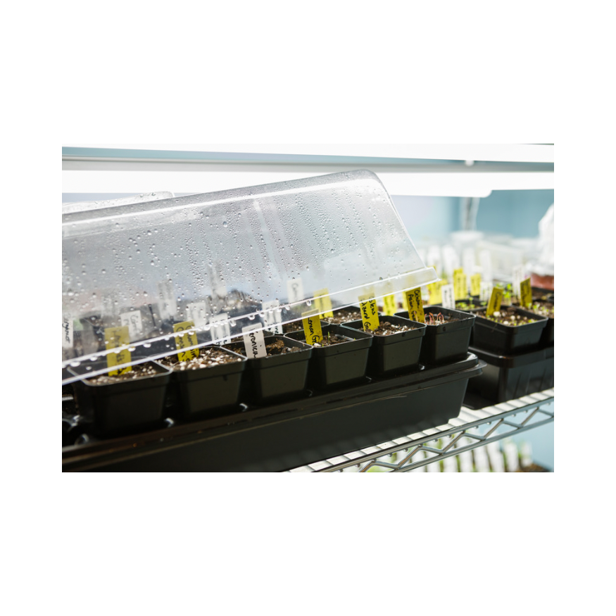 Copy of Untitled Design 30