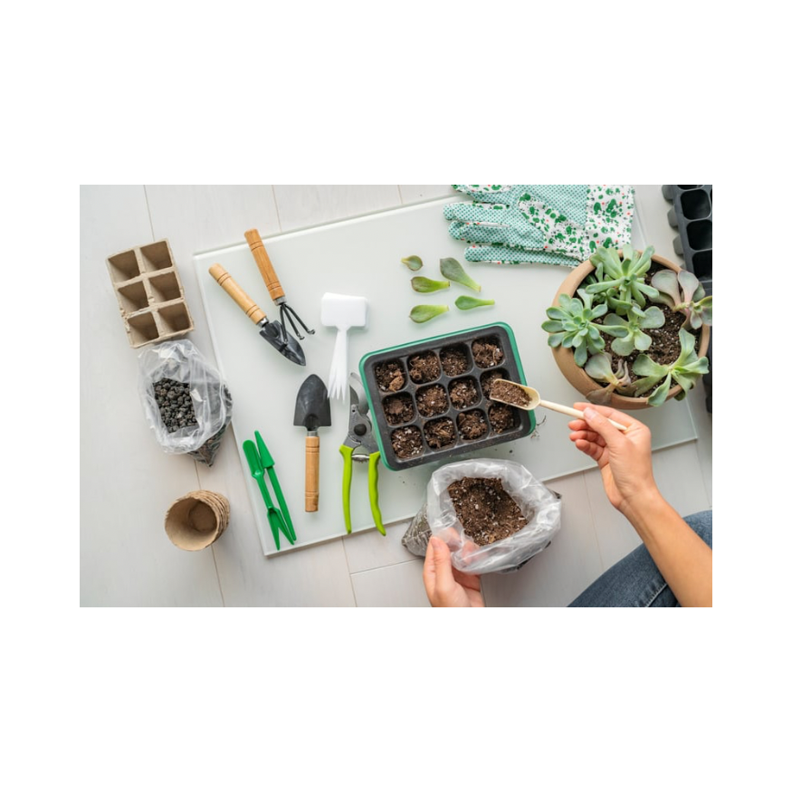 Copy of Untitled Design 31