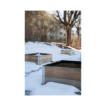 Copy of Untitled Design 52