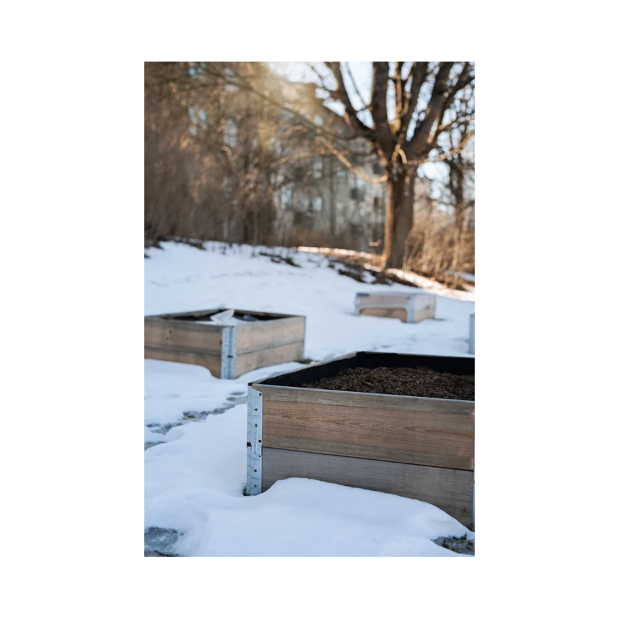 Copy of Untitled Design 52