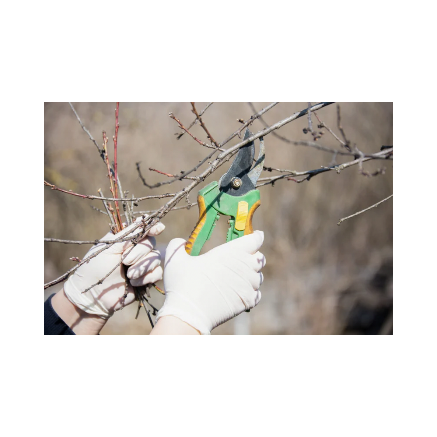 Copy of Untitled Design 58