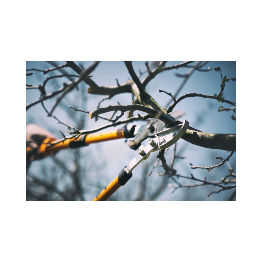 Copy of Untitled Design 59