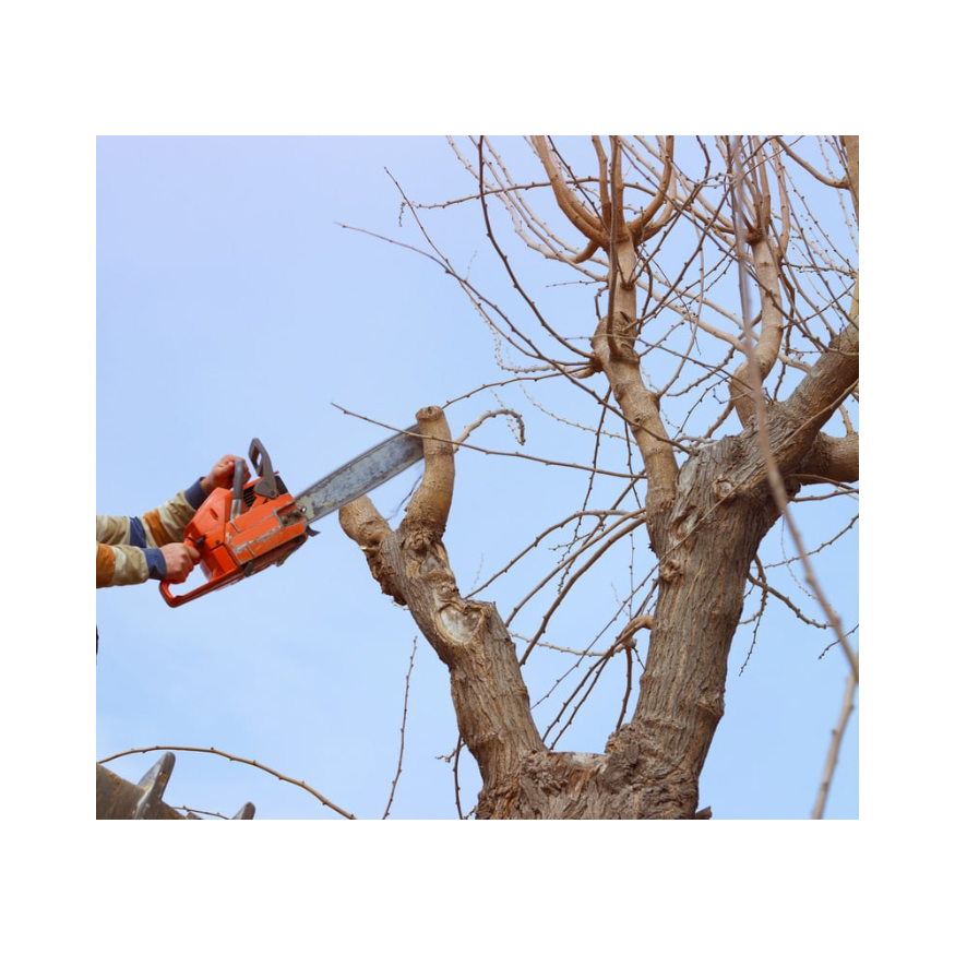 Copy of Untitled Design 60