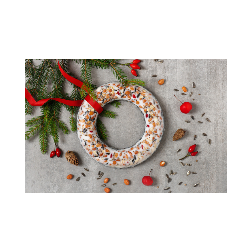 Copy of Untitled Design 72