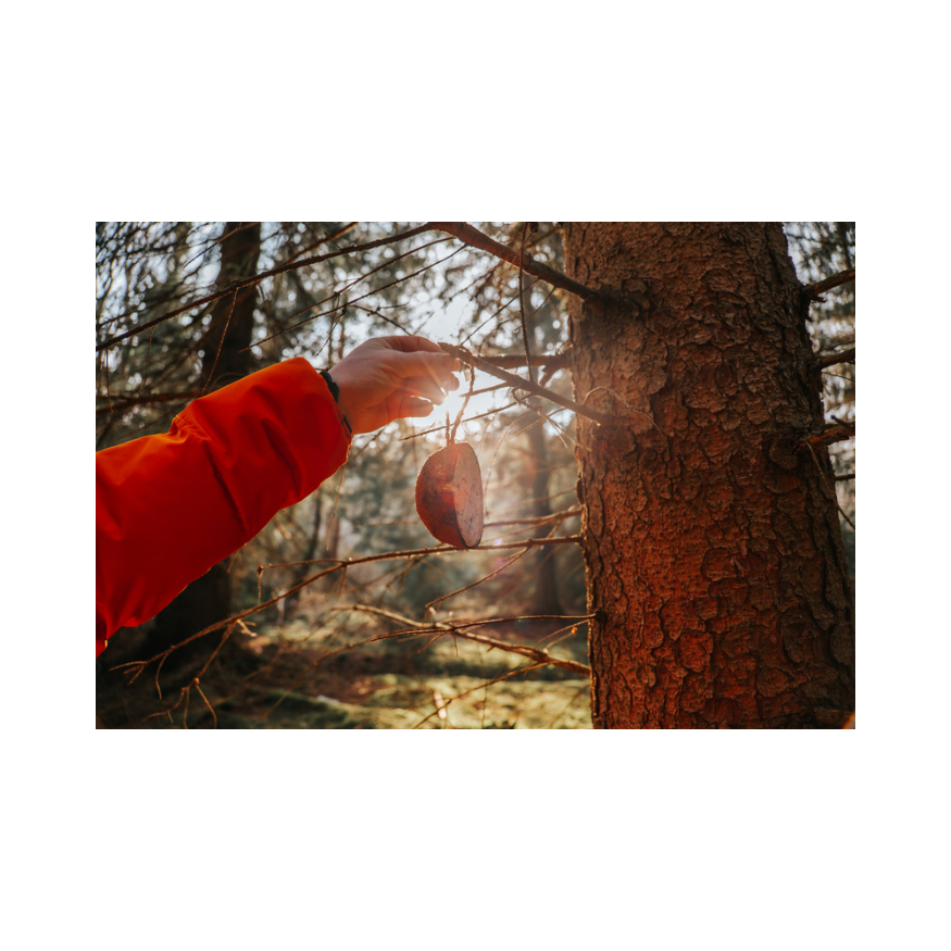 Copy of Untitled Design 76