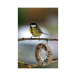 Copy of Untitled Design 77