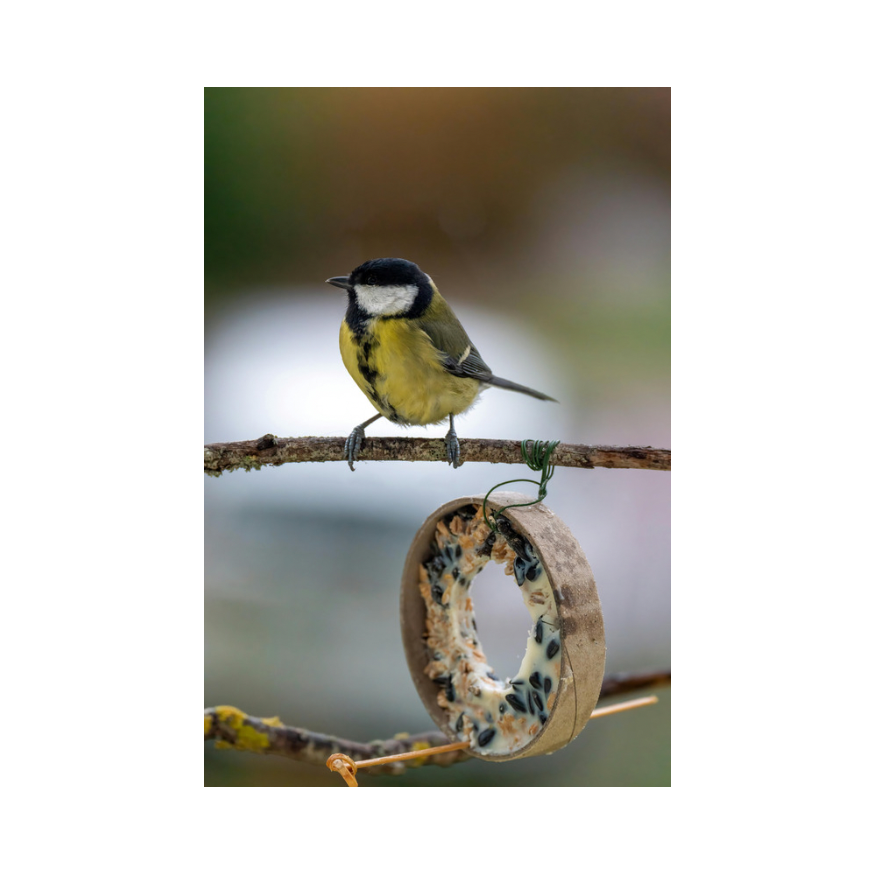 Copy of Untitled Design 77