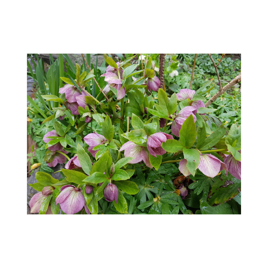 Copy of Untitled Design 89