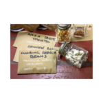 Copy of Untitled Design 91