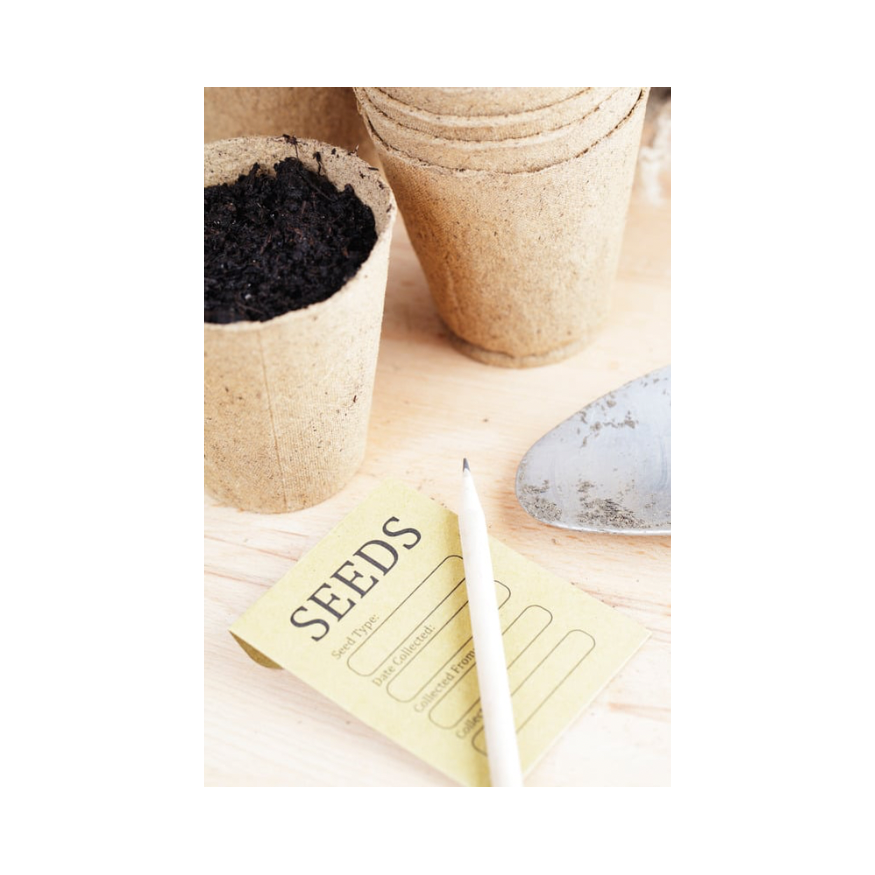 Copy of Untitled Design 92