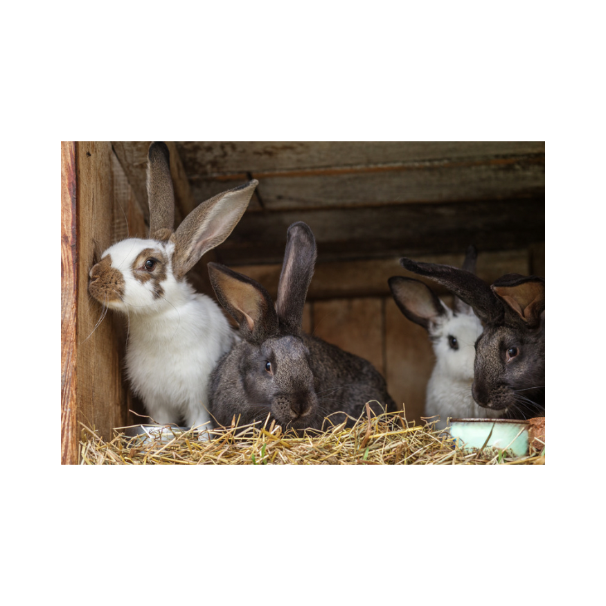 Copy of Untitled Design 93