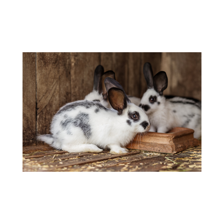 Copy of Untitled Design 94