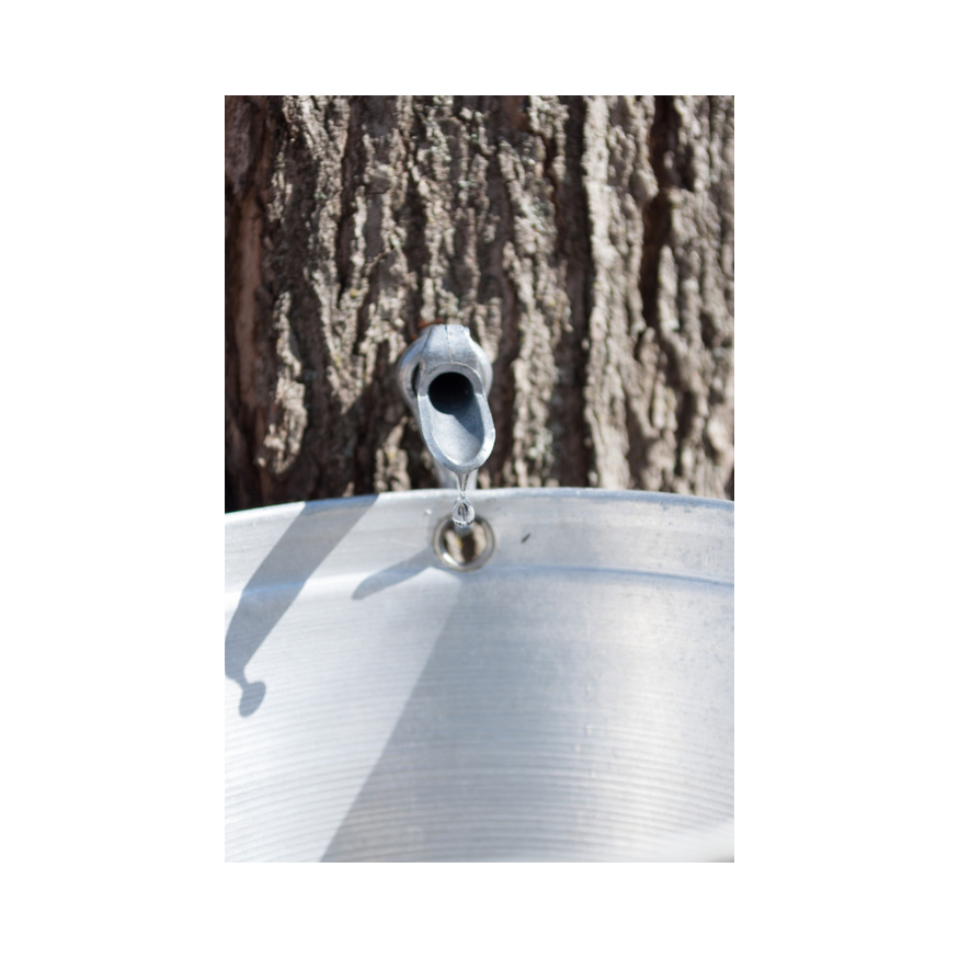 Copy of Untitled Design 99