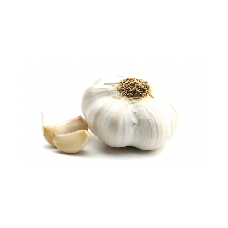 Copy of Copy of Untitled Design 1