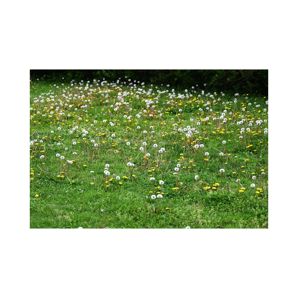 Copy of Copy of Untitled Design 1