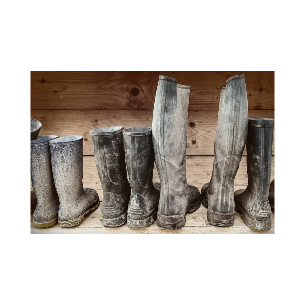 Copy of Copy of Untitled Design 1