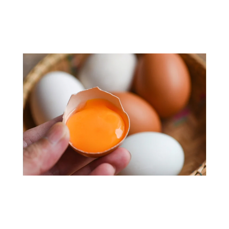 Copy of Copy of Untitled Design 1