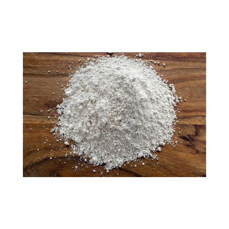 Copy of Copy of Untitled Design 1