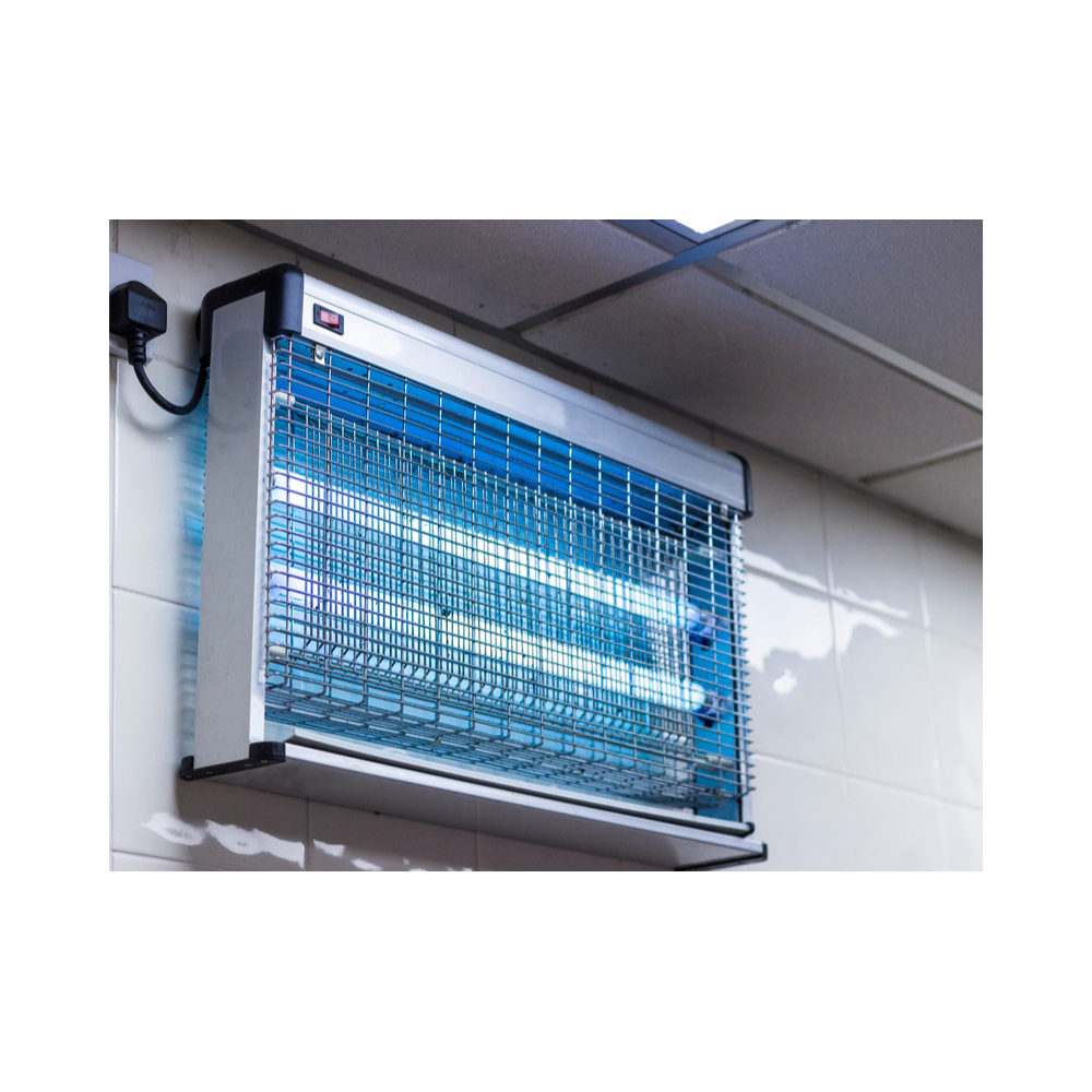 Copy of Copy of Untitled Design 11