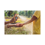 Individual getting sprayed with outdoor bug repellent