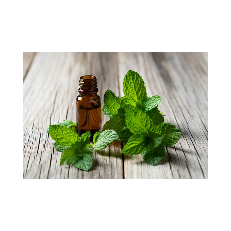 Plant of the Week: Mentha piperita – Peppermint (Cooling & Digestive ...