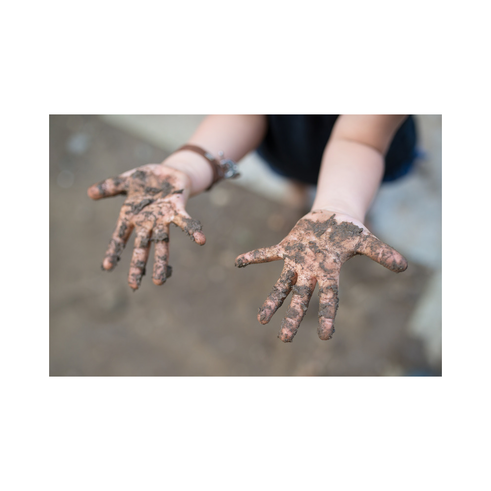 Copy of Copy of Untitled Design 2