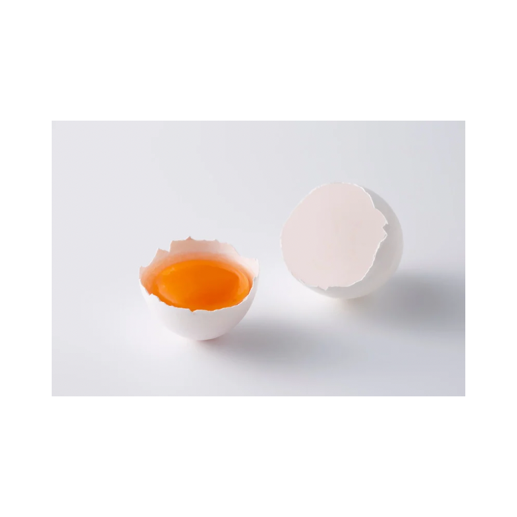 Copy of Copy of Untitled Design 2