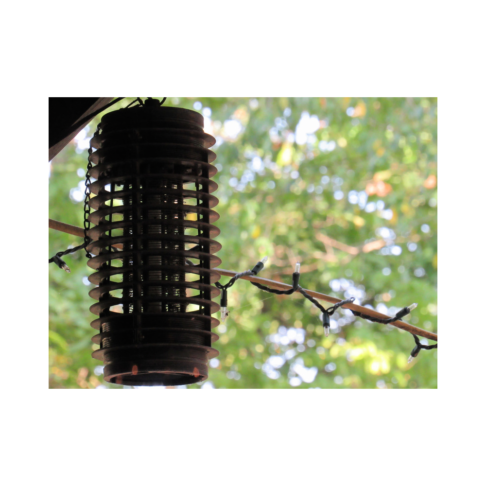 Copy of Copy of Untitled Design 2