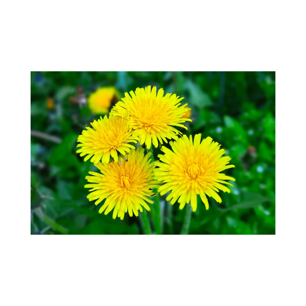 Copy of Copy of Untitled Design 2