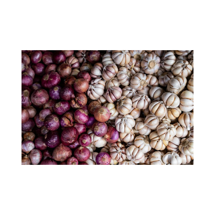 Copy of Copy of Untitled Design 2