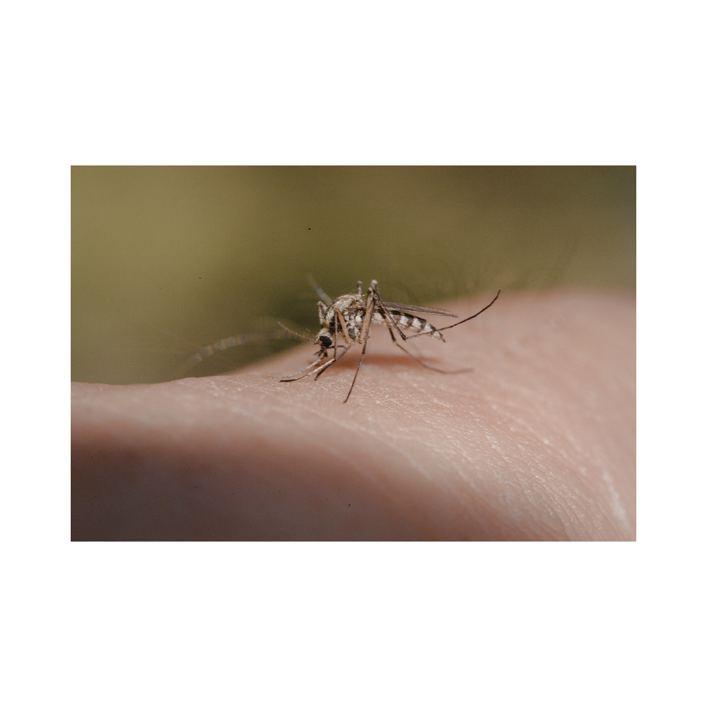 Copy of Copy of Untitled Design 21