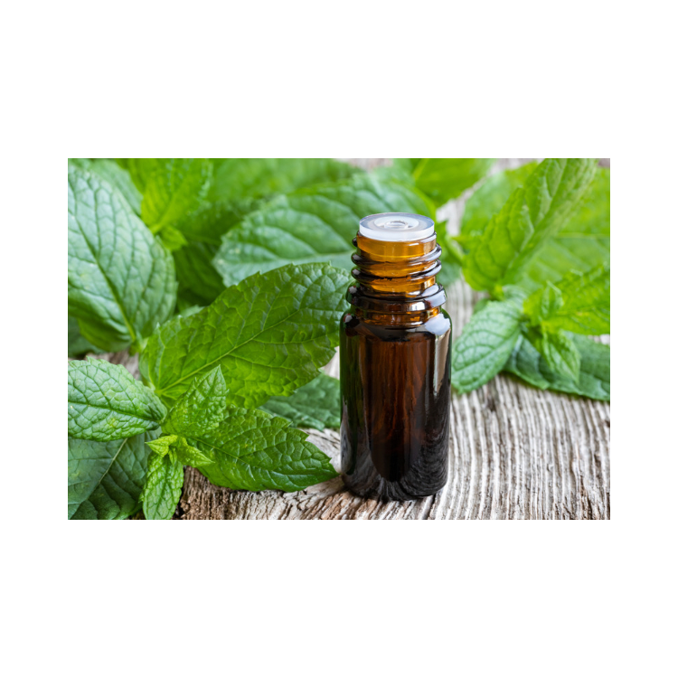 Copy of Copy of Untitled Design 3