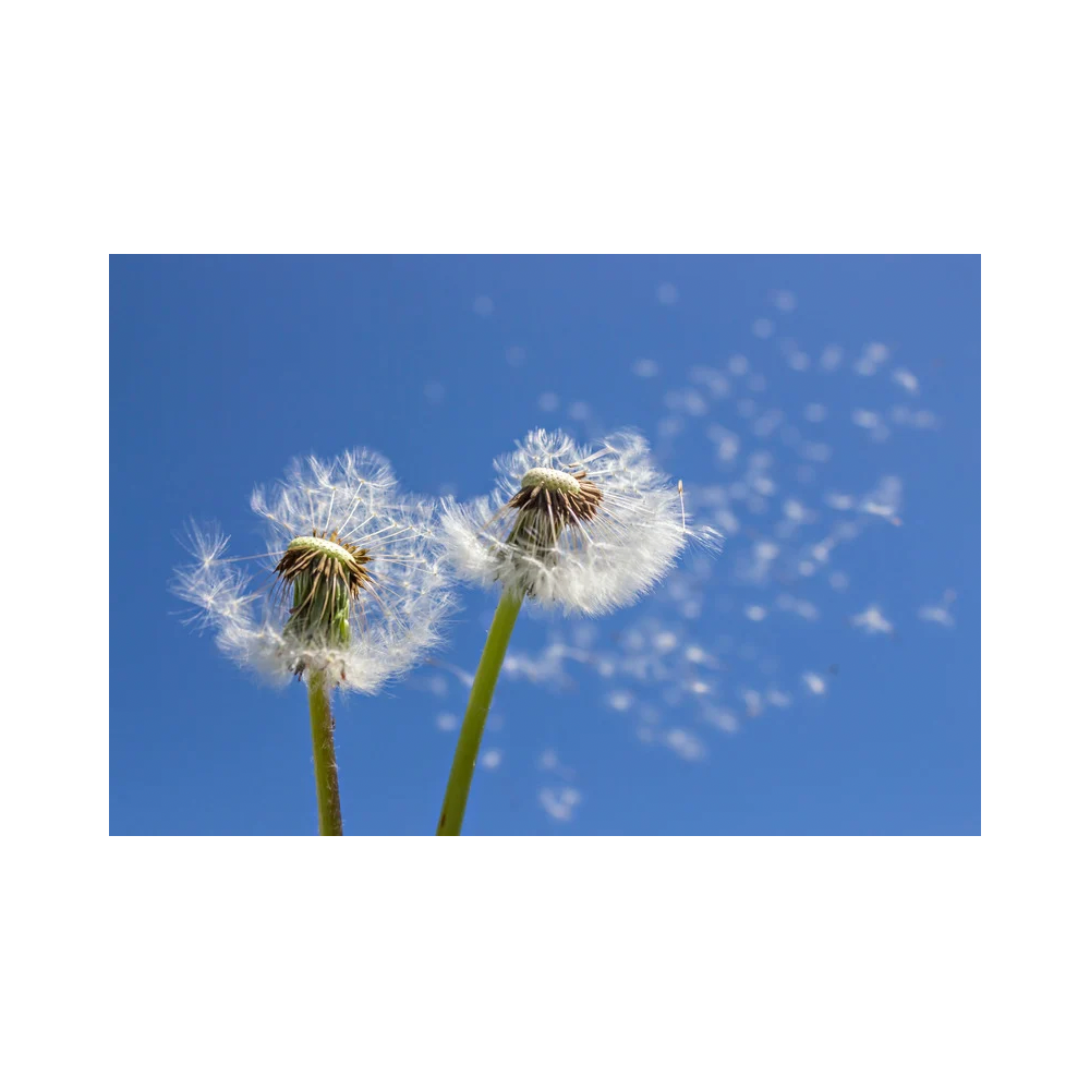 Copy of Copy of Untitled Design 3