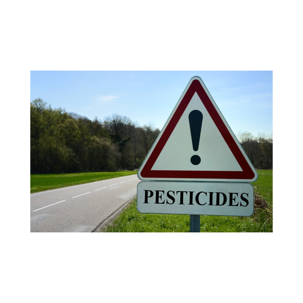 Copy of Copy of Untitled Design 4