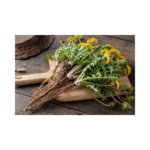 Copy of Copy of Untitled Design 4