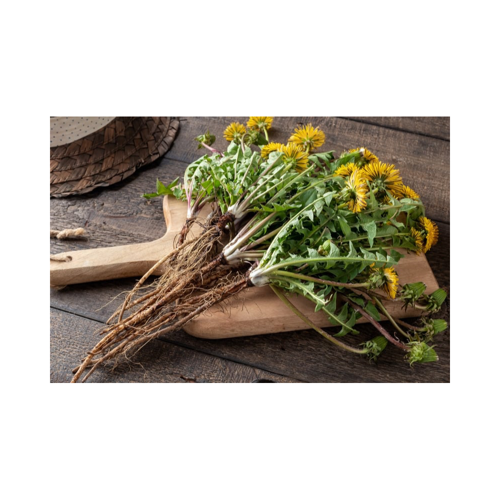 Copy of Copy of Untitled Design 4