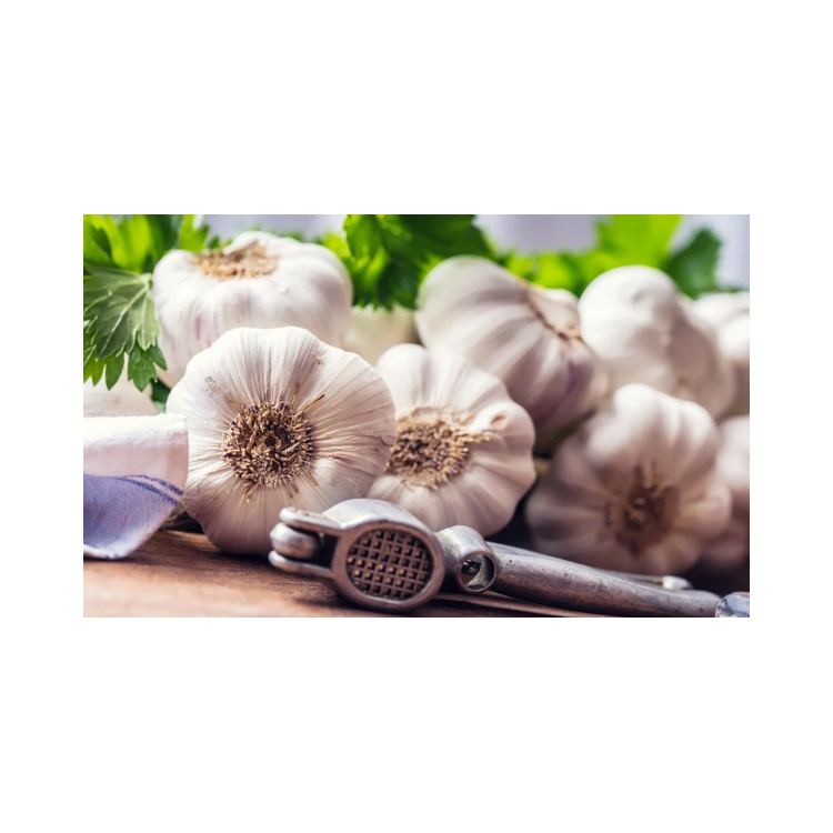 Copy of Copy of Untitled Design 4