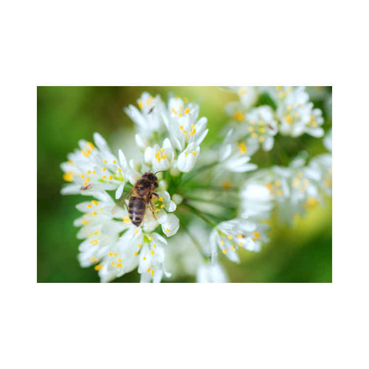 Copy of Copy of Untitled Design 5