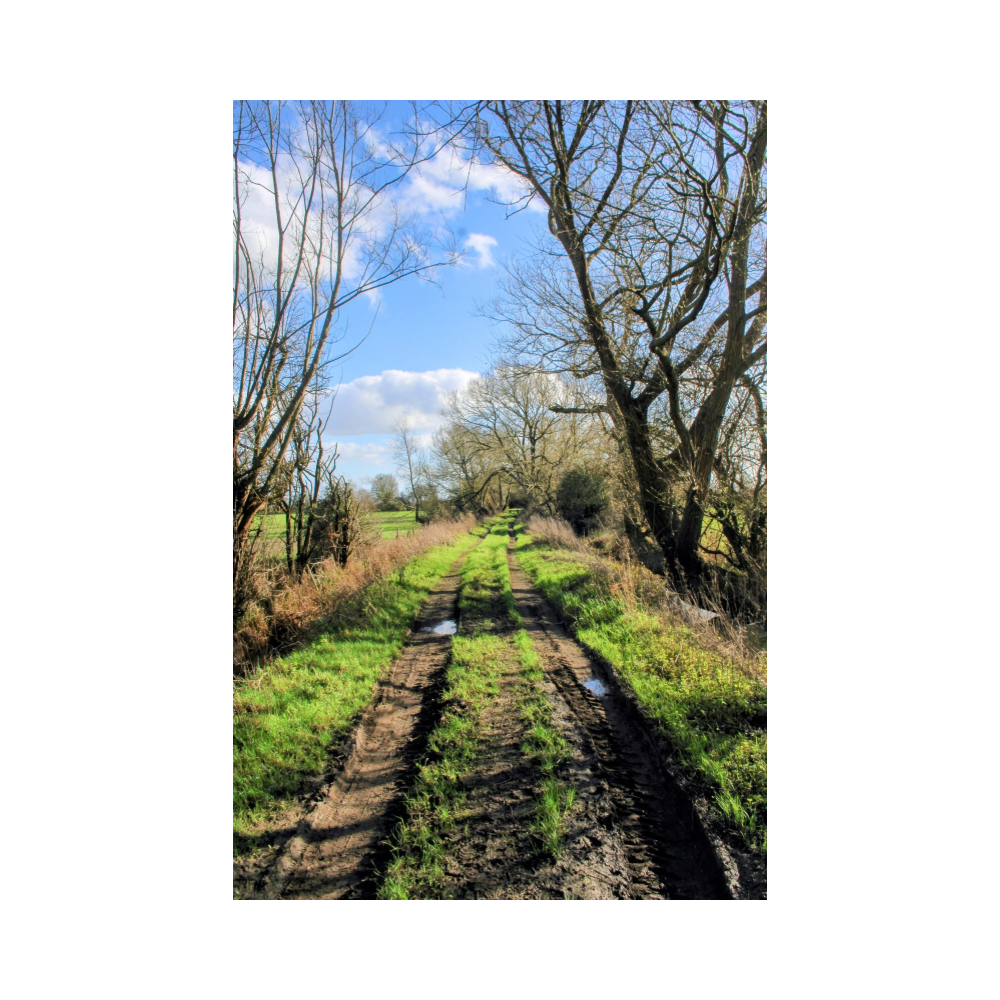 Copy of Copy of Untitled Design 5