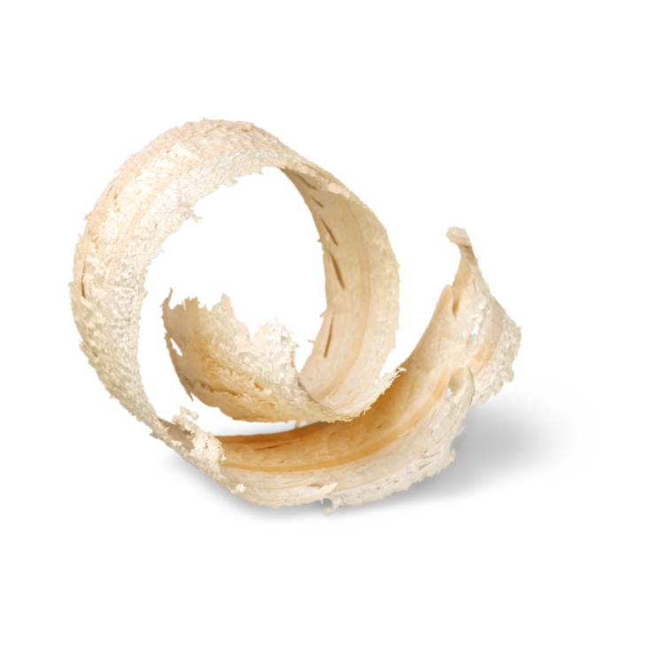 Copy of Copy of Untitled Design 5