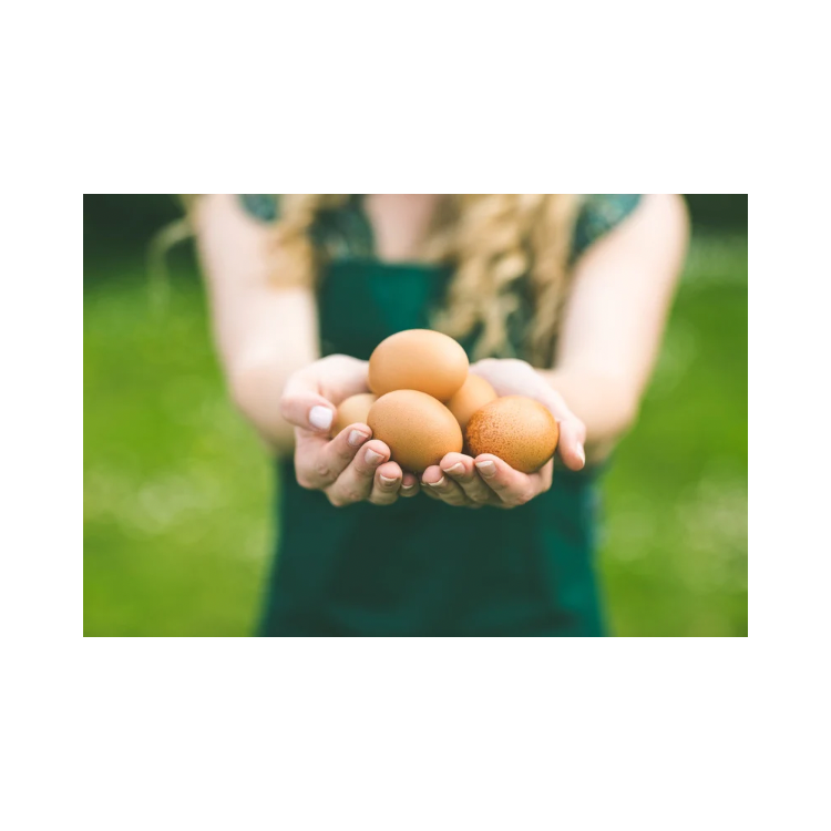 Copy of Copy of Untitled Design 6