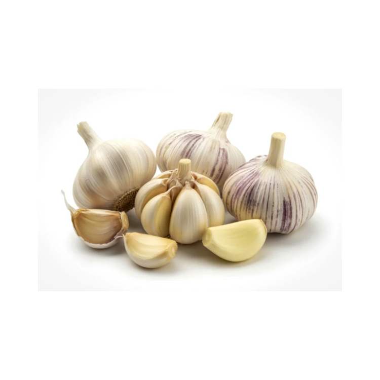 Copy of Copy of Untitled Design 6