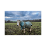 Copy of Copy of Untitled Design 7